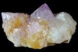 Cactus Quartz (Amethyst) Crystal Cluster - South Africa #132495-1